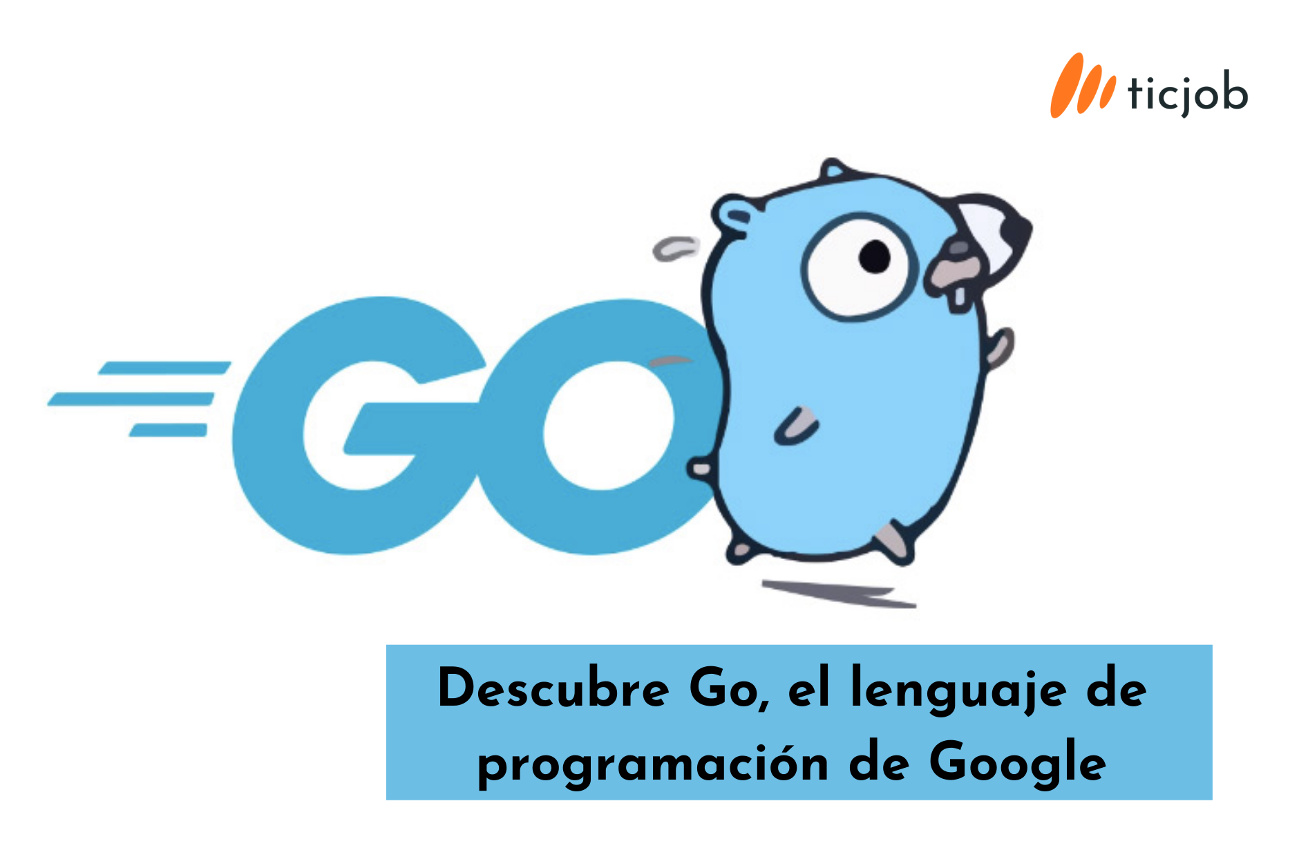 Descubre Go, el lenguaje de programación de Google